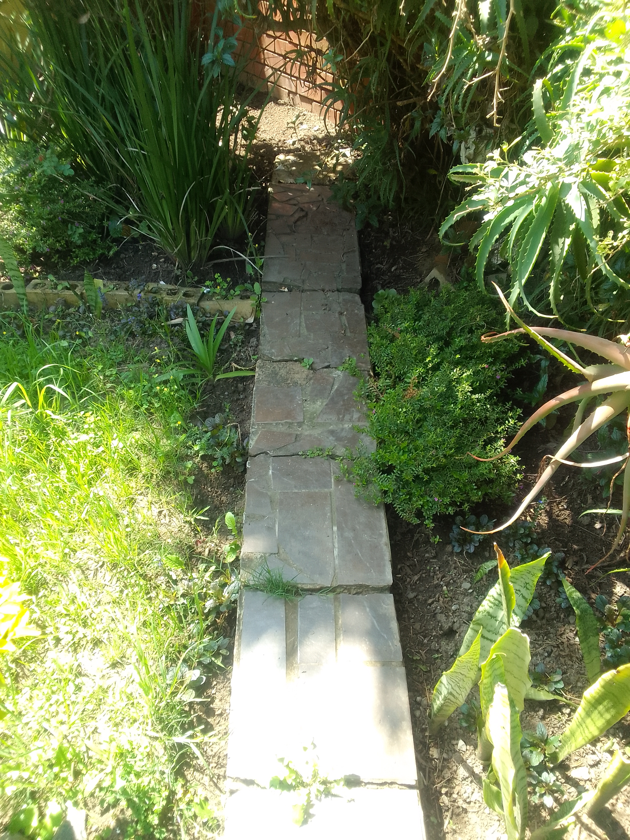 pic of stone path